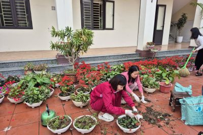 TRƯỜNG TH KHÁNH HÒA HƯỞNG ỨNG “TẾT TRỒNG CÂY ĐỜI ĐỜI NHỚ ƠN BÁC HỒ” XUÂN BÍNH NGỌ 2026